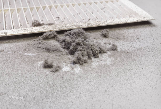 Best HVAC Air Duct Cleaning  in Iceville, AL