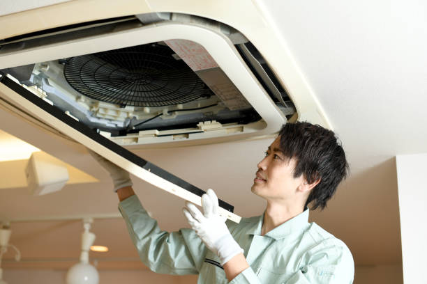Best Ductwork Cleaning Services  in Iceville, AL