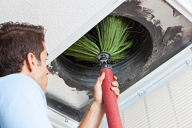 Best General Air Duct Cleaning  in Iceville, AL
